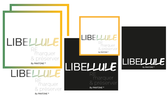 Libellule logo déclinaison Libellule logo déclinaison