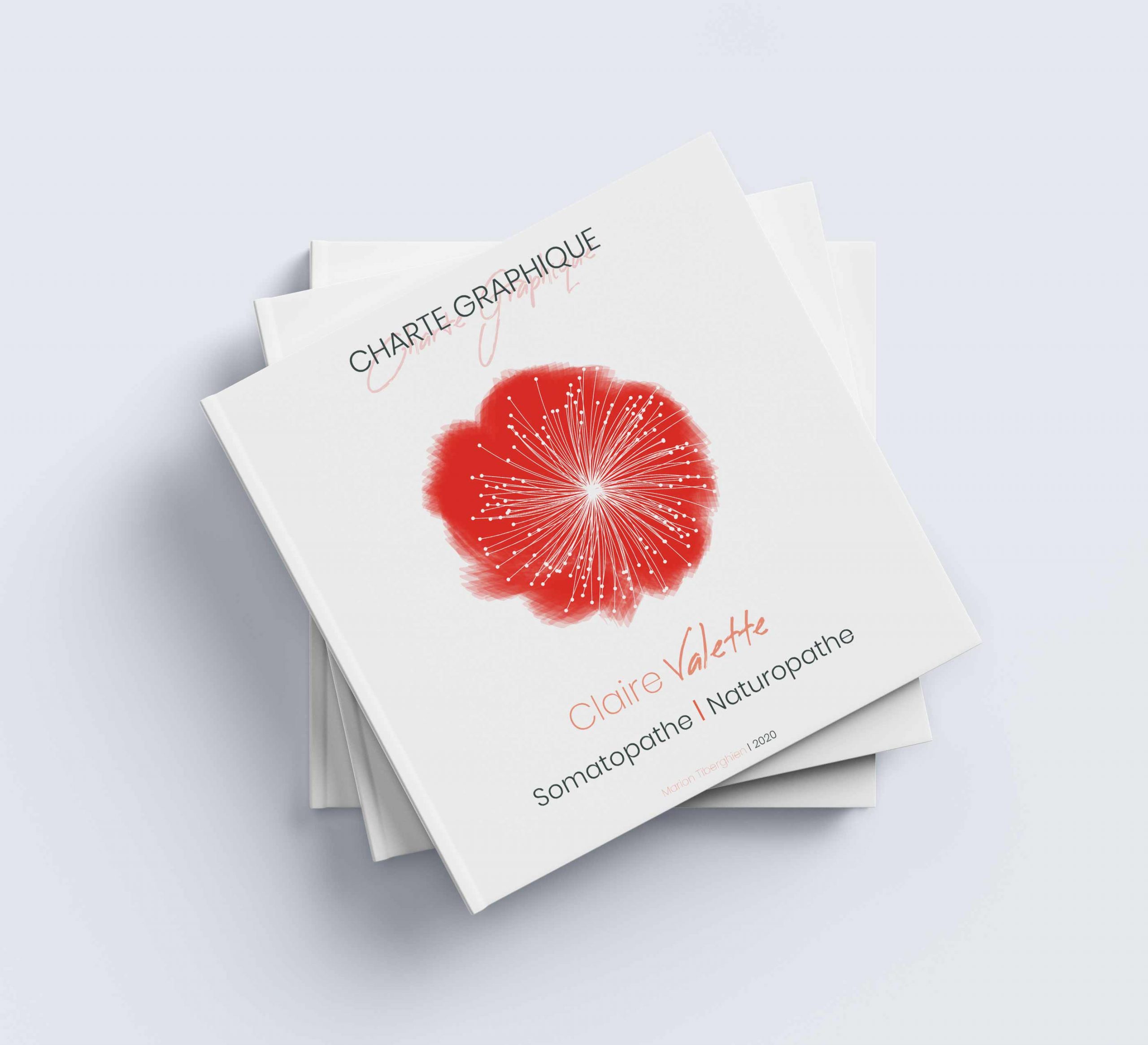 charte-couv Couverture charte Graphique