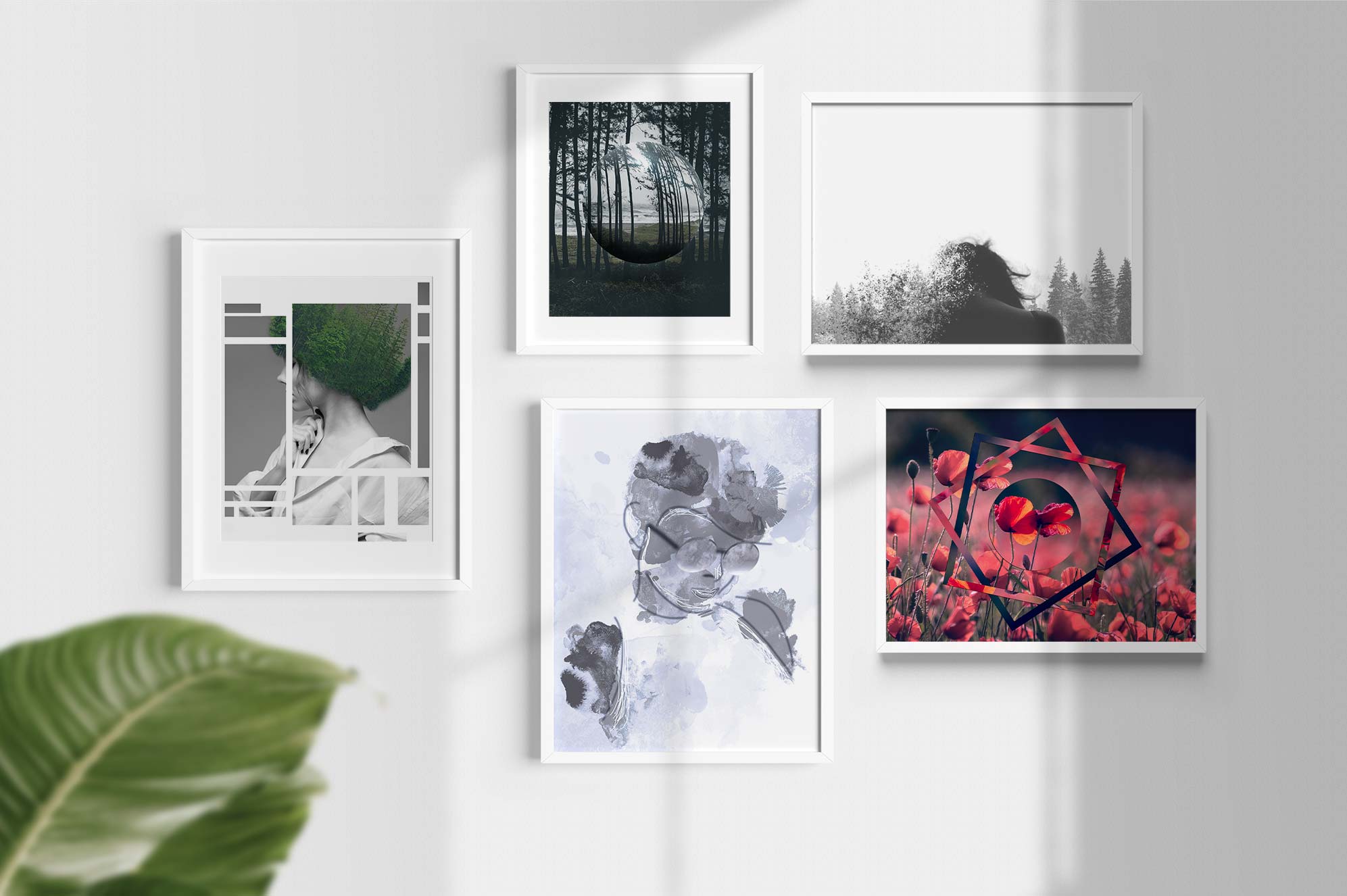 Créations diverses sur photoshop Créations diverses sur photoshop