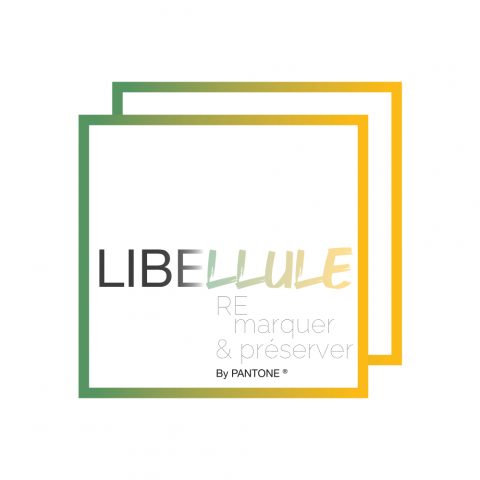 Libellule