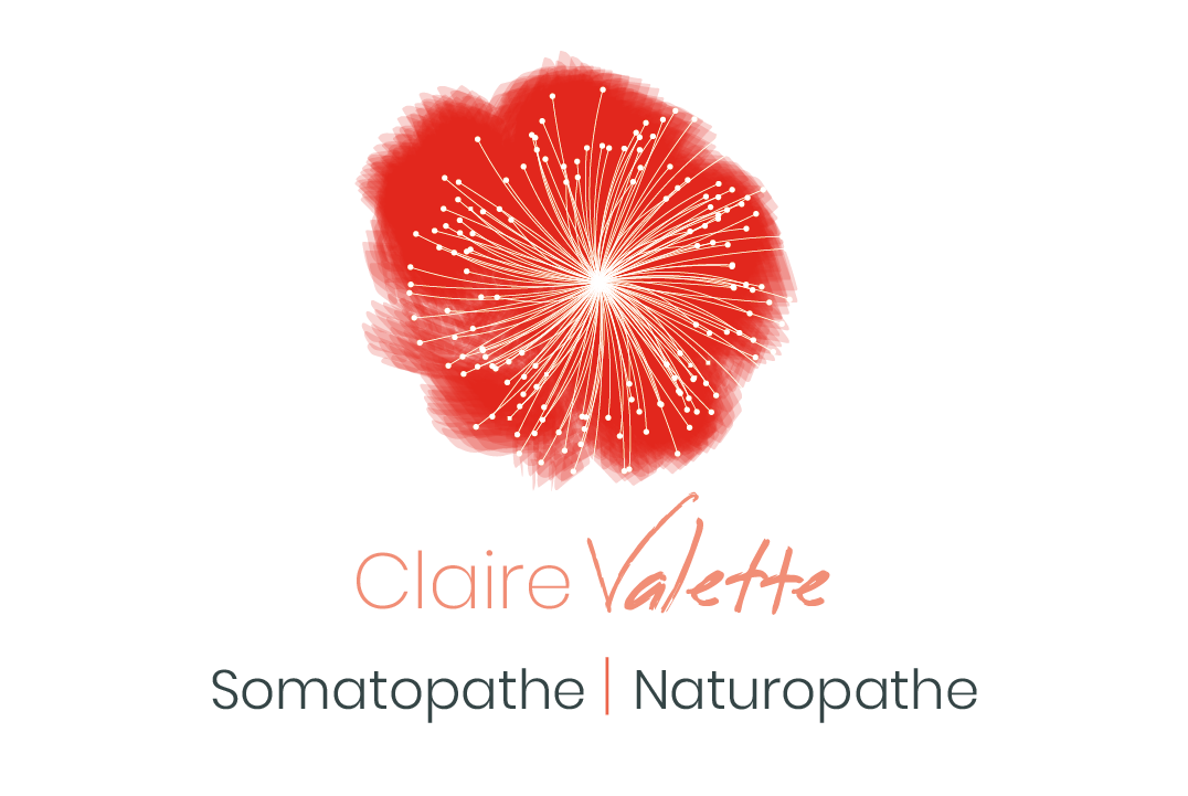 Logo Claire Valette Logo Claire Valette
